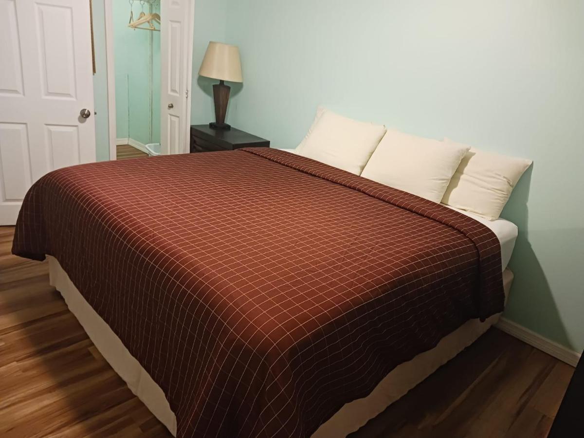 Royal North Beach Clearwater Beach Luaran gambar